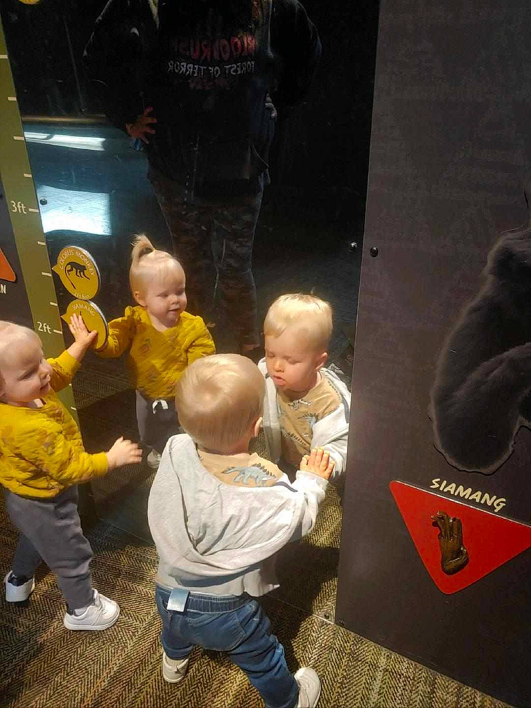 Elaine And Hubert is registered to the contest to win money with this photo: baby, boot, child, event, flooring, fun, games, leisure, logo, person, play, recreation, room, shoe, sneakers, t_shirt, toddler, tree, visual_arts, world