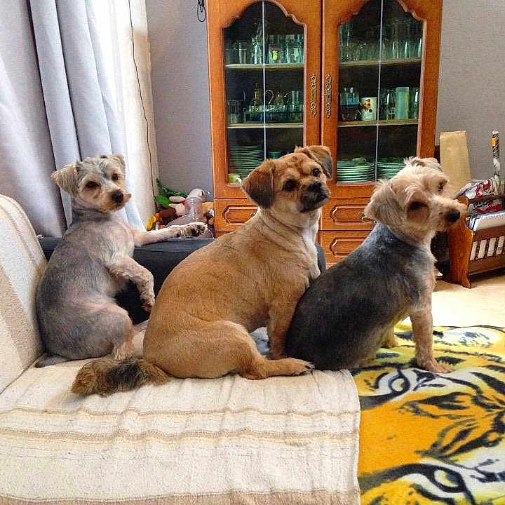 Spyke Youki Et Rosko