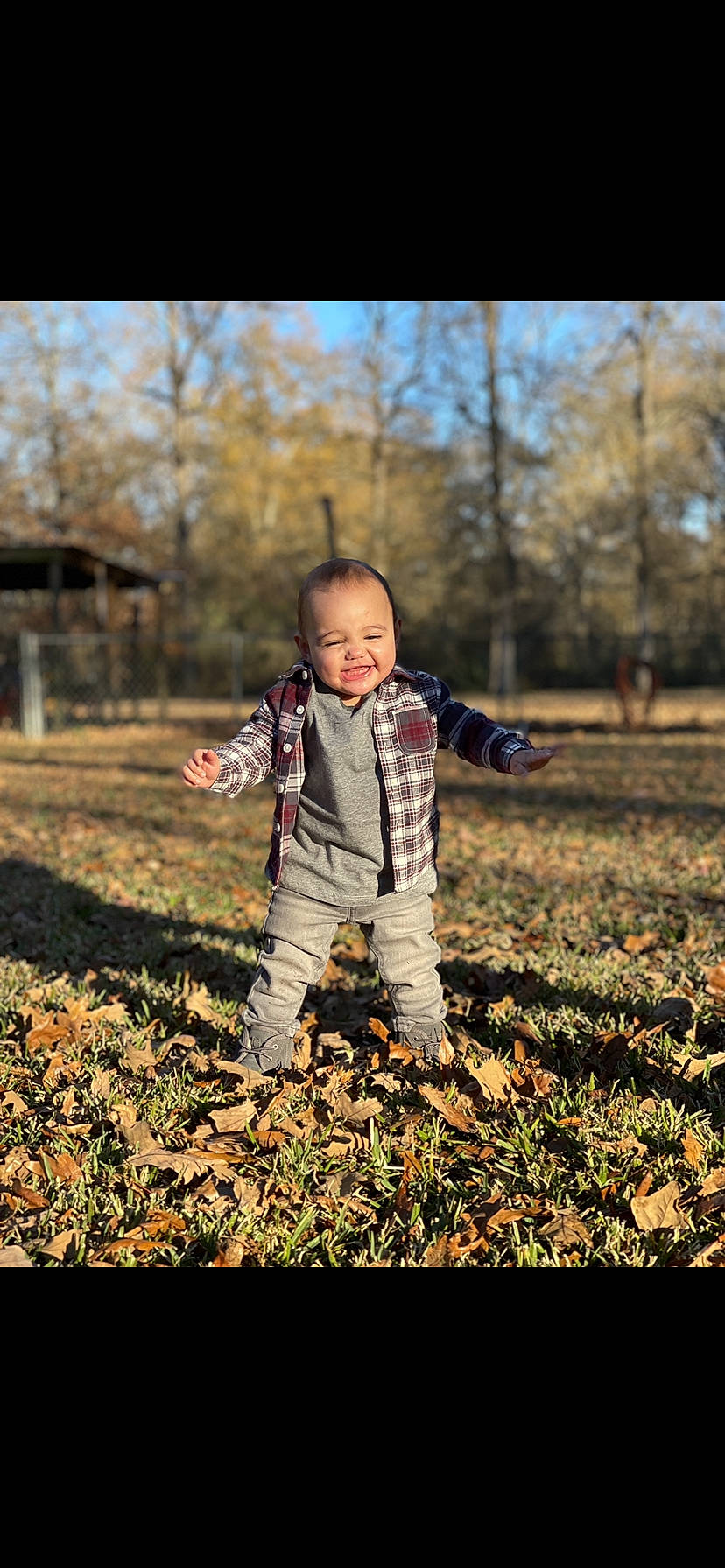 Jalen joined the competition — help win amazing prizes! branch, deciduous, flash_photography, gesture, grass, happy, leaf, natural_environment, orange, outerwear, people_in_nature, person, plant, playing_with_kids, sky, standing, sunlight, toddler, tree, wood