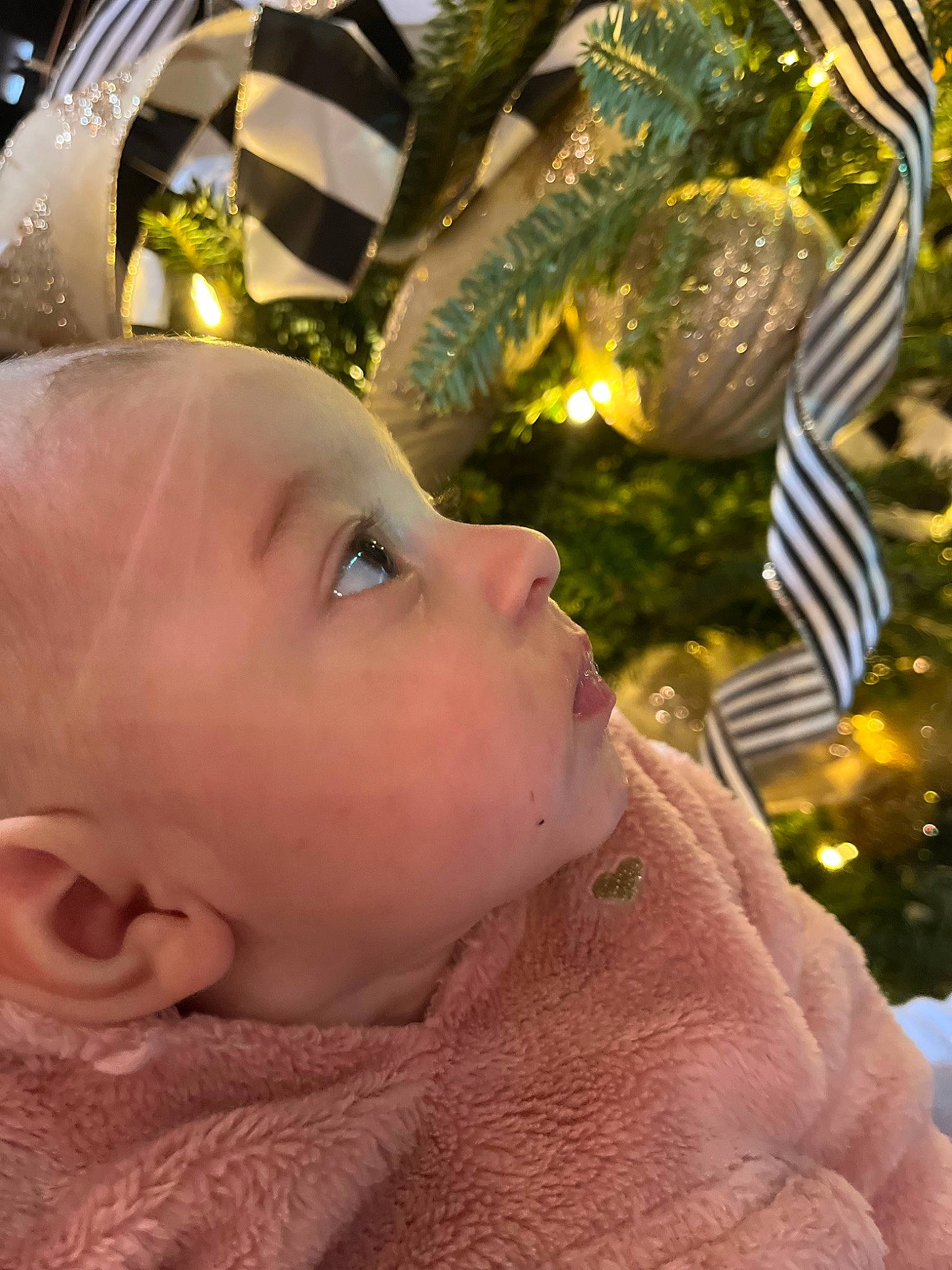 Marley Evelyn joined the competition — help win amazing prizes! baby, baby_toddler_clothing, christmas, christmas_ornament, event, eye, eyelash, fawn, fun, grass, hairstyle, happy, head, leaf, leisure, organism, people_in_nature, person, summer, toddler