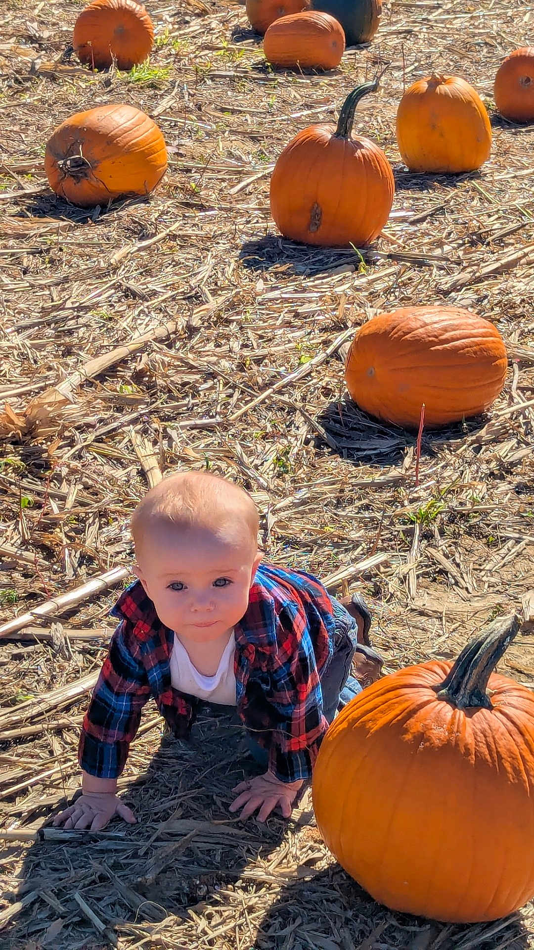 Dawson James