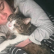 Sweety a rejoint le concours — aidez-le/la à gagner de superbes lots ! cat, person, cuddle, tabby_cat, sleeping, cozy, blanket, sweater, indoor, pet, affection, closeup, resting, comfort, fur, hand, nap, relaxation, warmth, love