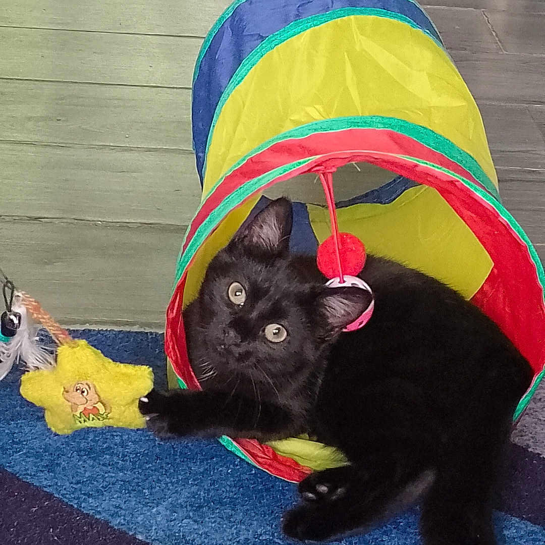 Luna