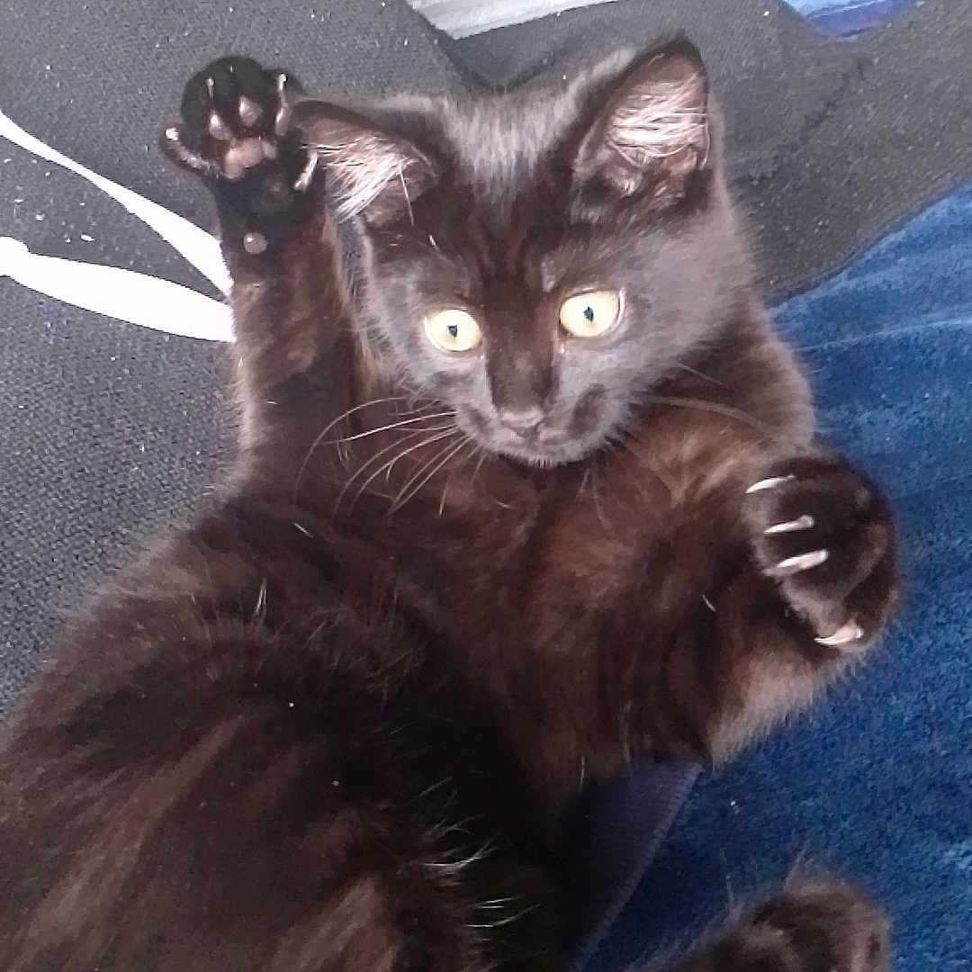 Luna