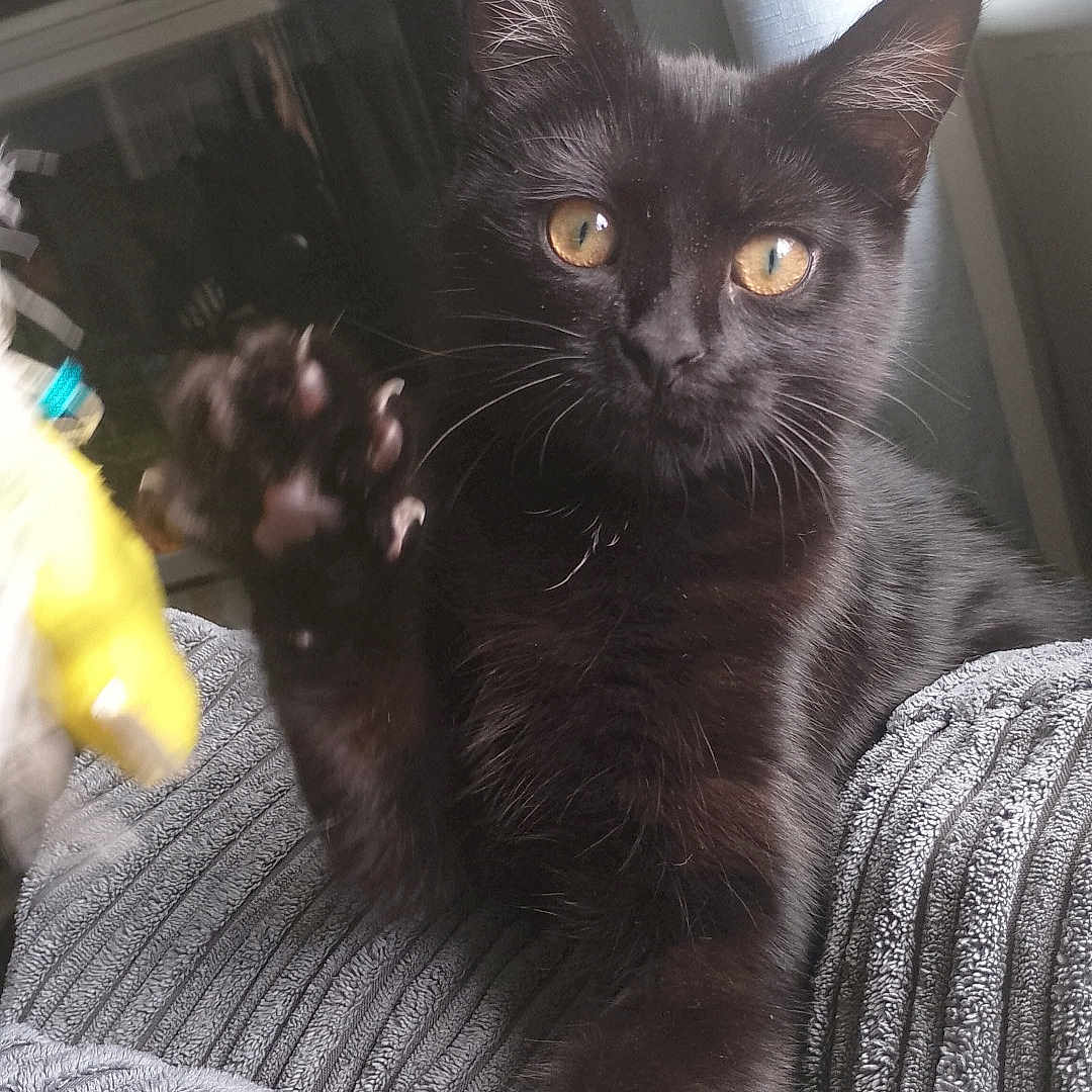 Luna
