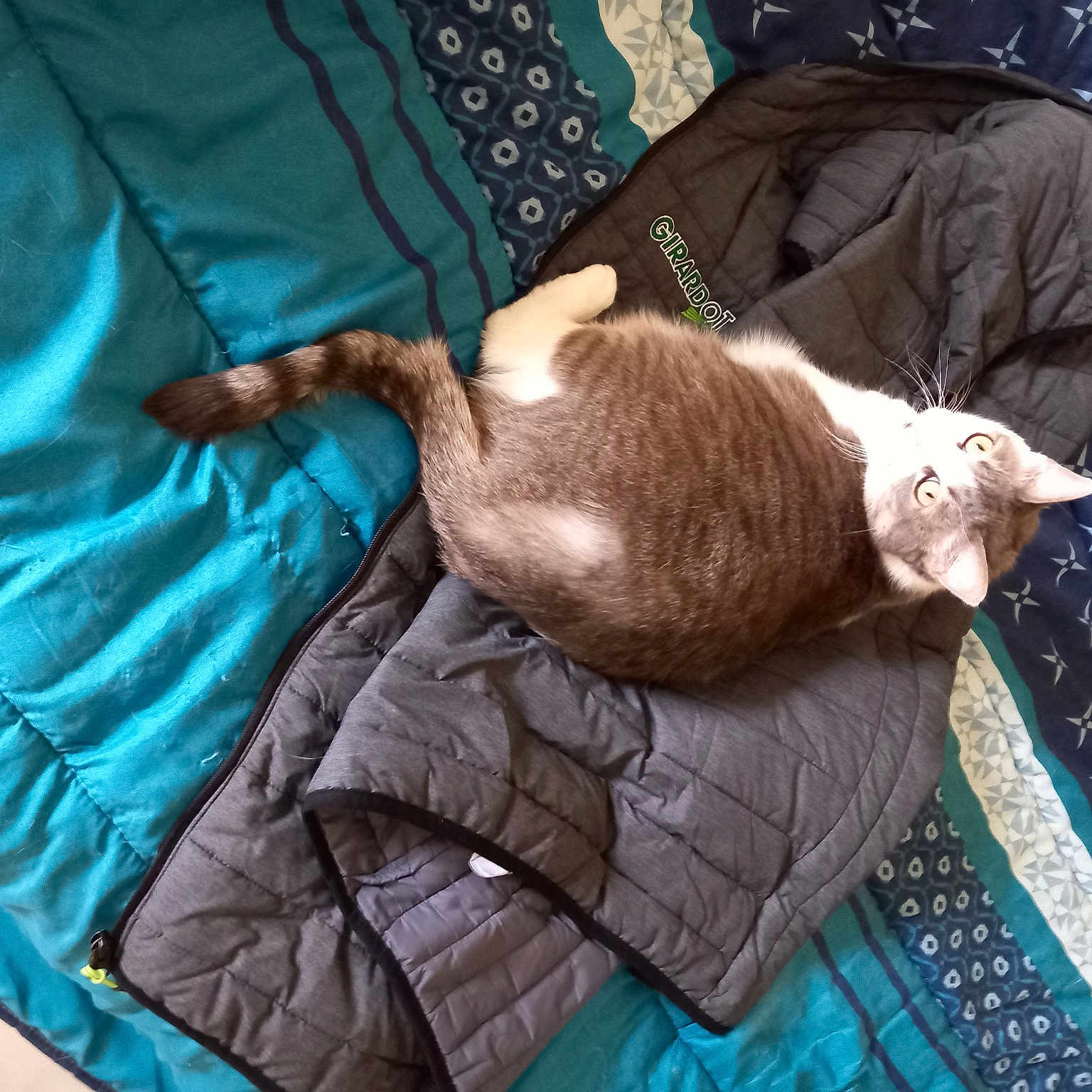 Mimie