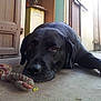 UBU participe au concours pour gagner de l'argent avec cette photo :