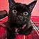 Pearla