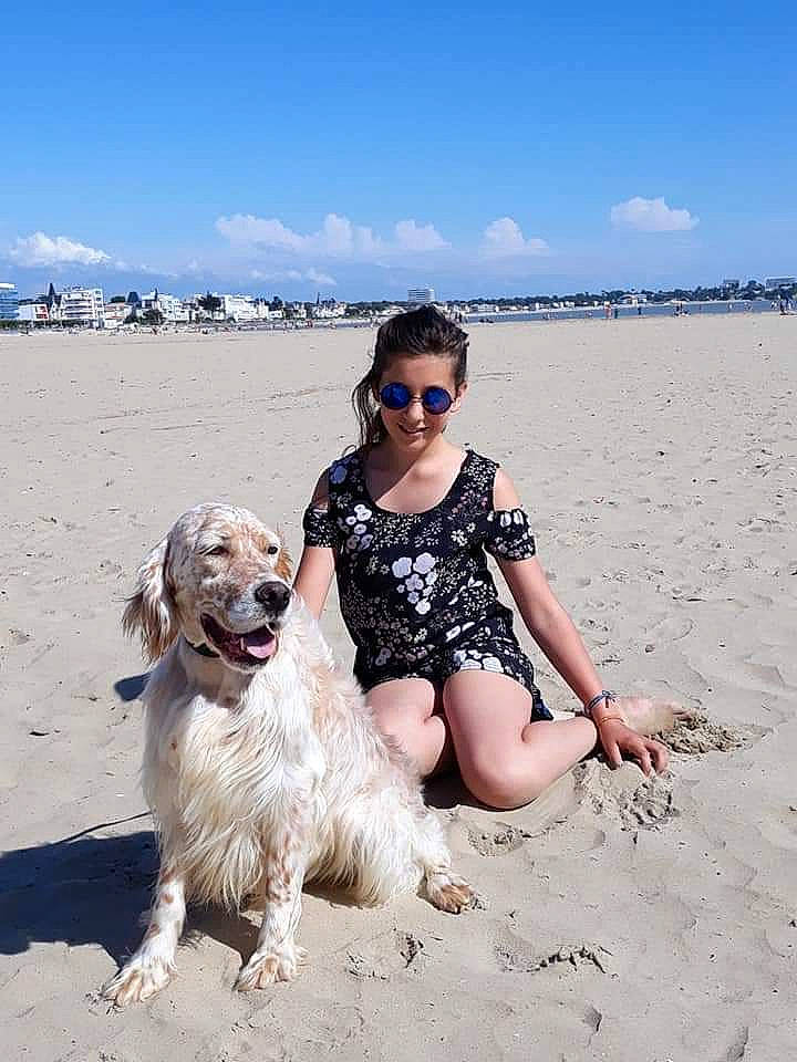 Lara participe au concours pour gagner de l'argent avec cette photo : beach, canidae, carnivore, dog, dog_breed, english_setter, fun, golden_retriever, joy, person, retriever, sand, setter, sporting_group, summer, tourism, vacation