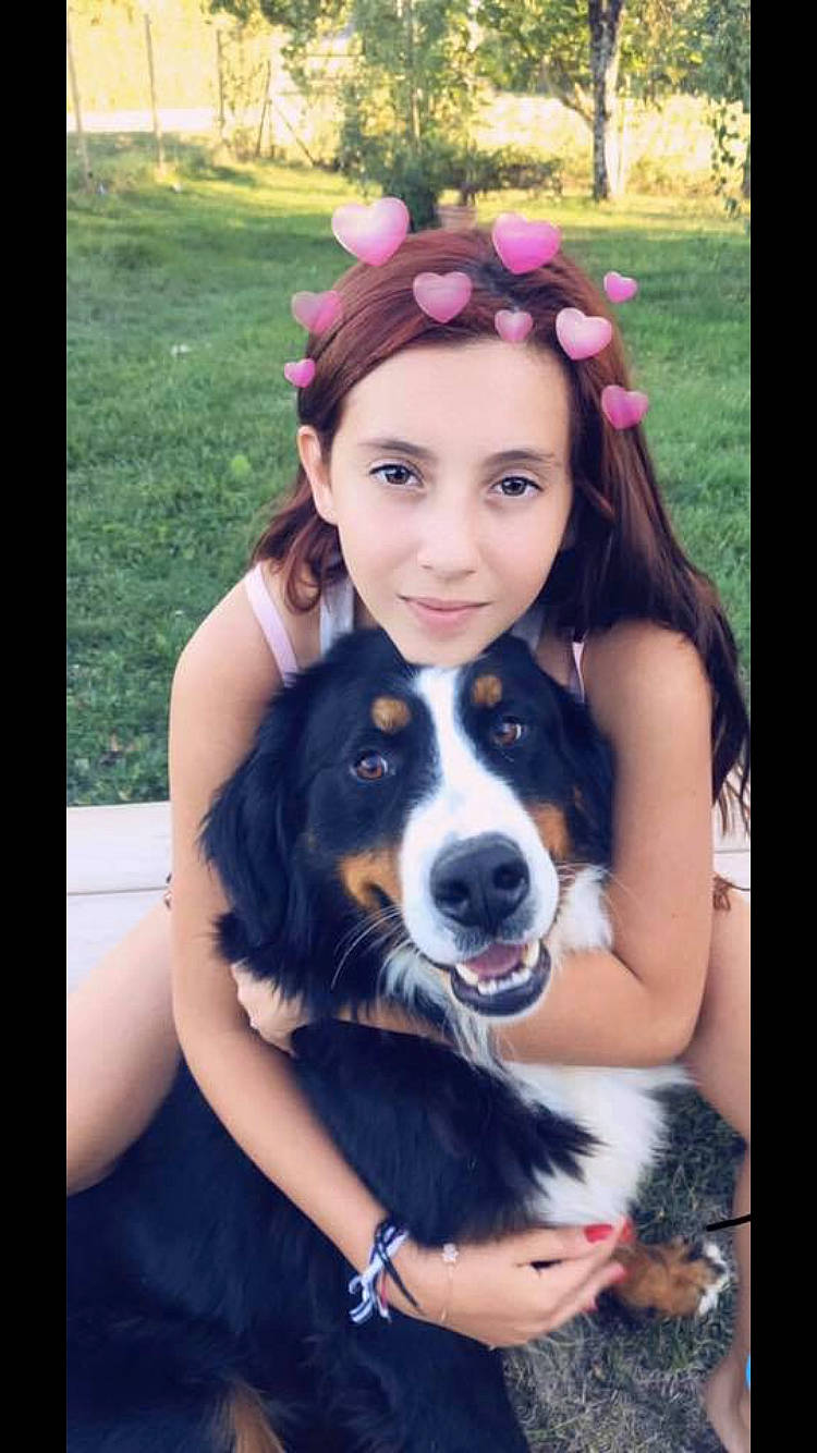 Levis a rejoint le concours — aidez-le/la à gagner de superbes lots ! appenzeller_sennenhund, australian_shepherd, beauty, bernese_mountain_dog, black_hair, canidae, carnivore, companion_dog, dog, dog_breed, english_shepherd, entlebucher_mountain_dog, long_hair, mammal, nose, organ, person, puppy_love, smile, vertebrate