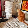 abstract_art, art_display, art_studio, artwork, cat, colorful_painting, creative_space, decor, feline, indoor, modern_art, orange_cat, orange_fur, painted_canvas, sculpture, sitting_cat, studio, table, textured_art, white_sculpture