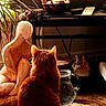 Loudva a rejoint le concours — aidez-le/la à gagner de superbes lots ! animal, cat, cozy, decorative_figurines, furniture, ginger_cat, glass_pitcher, home_decor, indoor, pet, plant, remote_control, rug, shadow, still_life, sunlight, television, warm_light, wooden_floor, wooden_sculpture