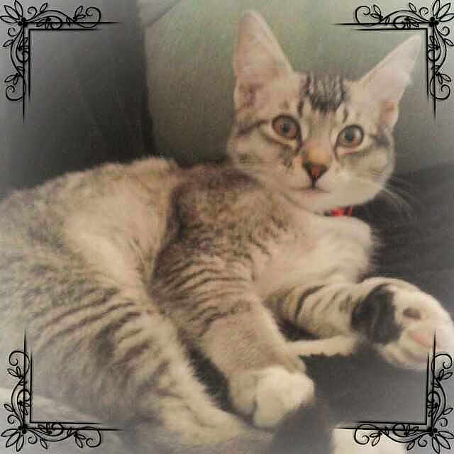 Chi Chi is registered to the contest to win money with this photo: