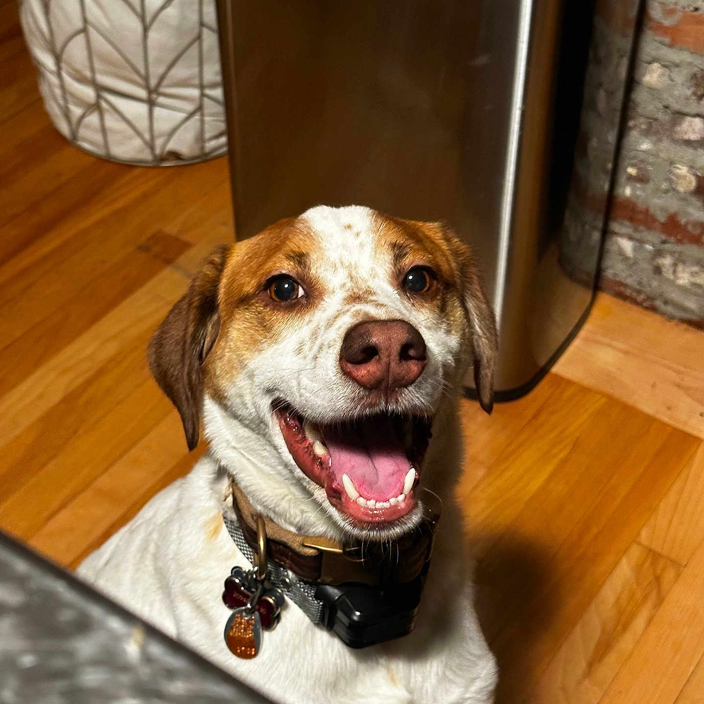 Riku