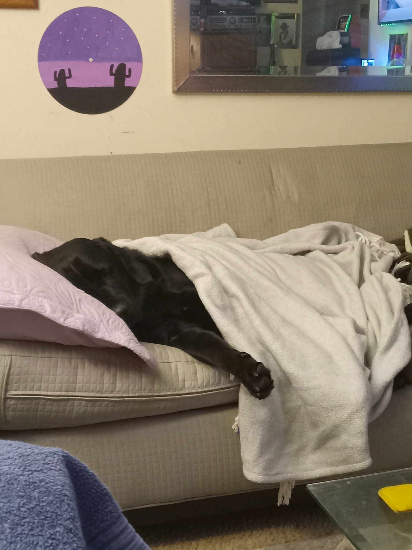 Yoda