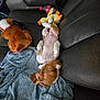 blanket, bottle, brown_and_white, coca_cola, couch, cozy, dog, duck_toy, furniture, indoor, leather, nap, pet, plush_toy, puppy, red_cup, relaxation, rest, sleeping, toy