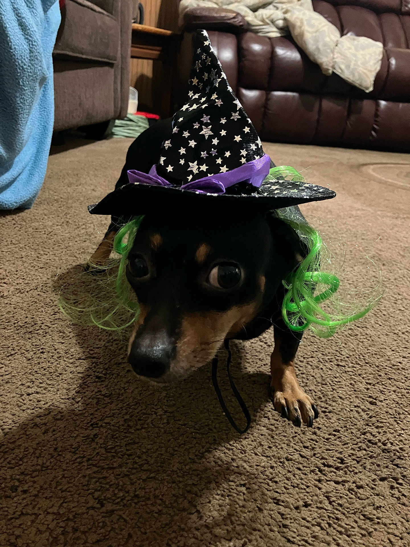 Maggie