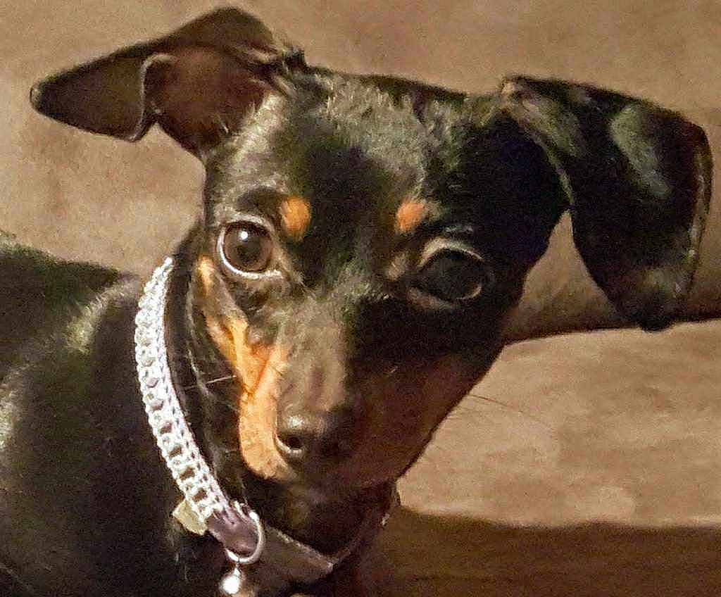 Maggie