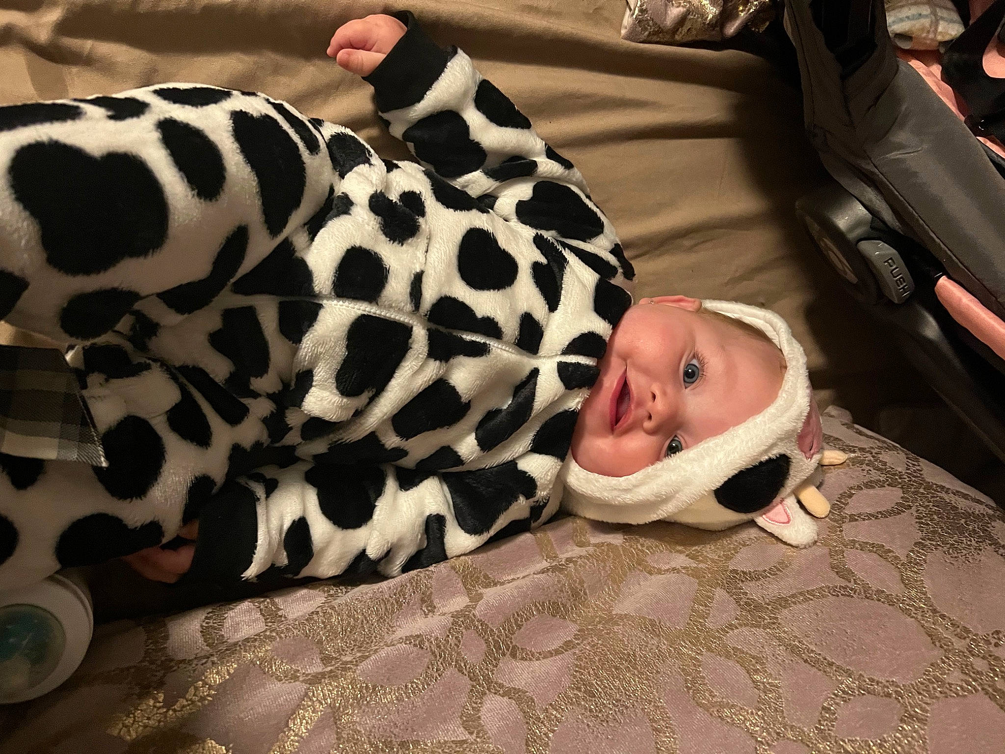 Ensley joined the competition — help win amazing prizes! baby, baby_toddler_clothing, carnivore, child, comfort, facial_expression, fawn, flooring, foot, fur, human_leg, linens, pattern, person, skin, sleeve, snout, terrestrial_animal, toddler, vertebrate