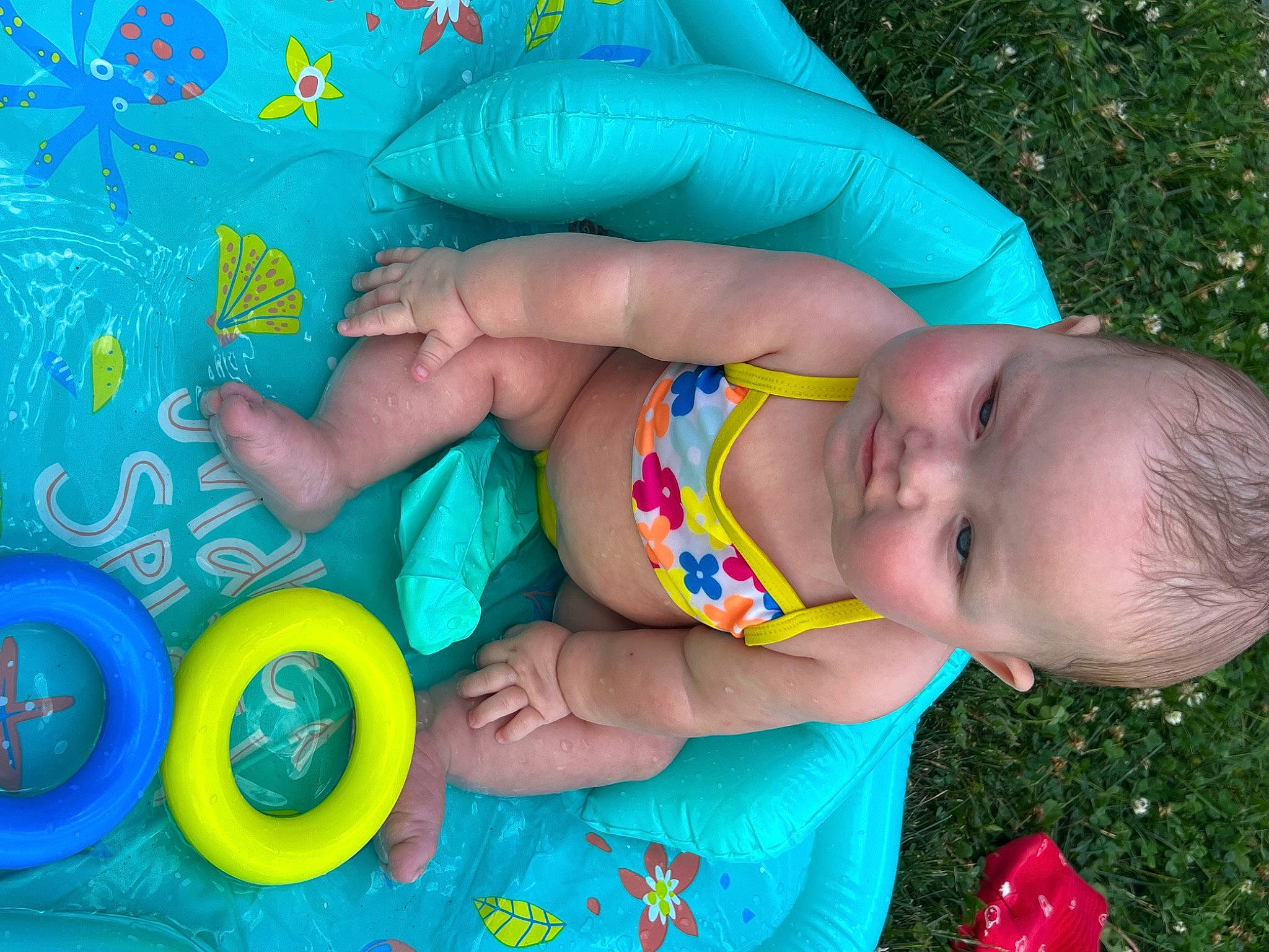 Ensley is registered to the contest to win money with this photo: baby, baby_playing_with_toys, baby_products, baby_toddler_clothing, blue, child, electric_blue, fun, grass, green, happy, leisure, pattern, people_in_nature, person, play, red, sitting, toddler, toy