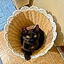 black_cat, cat, basket, woven_basket, yellow_eyes, indoor, tile_floor, blue_rug, curious, pet, animal, cozy, looking_up, scalloped_edge, home, feline, floor, domestic_cat, resting, cute