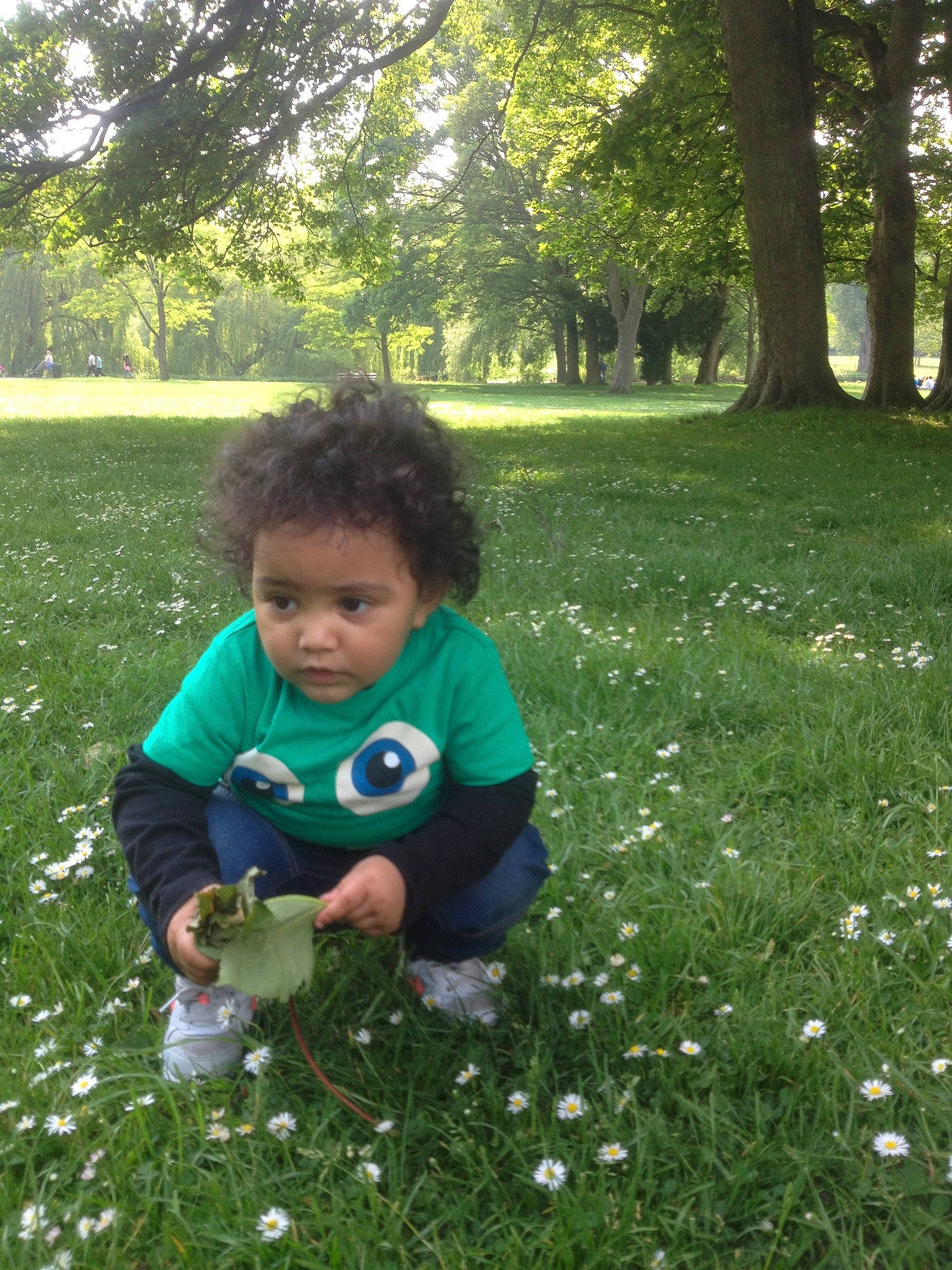 Bernardo joined the competition — help win amazing prizes! child, day, emotion, fun, garden, grass, green, lawn, leaf, male, mammal, nature, person, plant, play, spring, toddler, tree, vertebrate, woody_plant