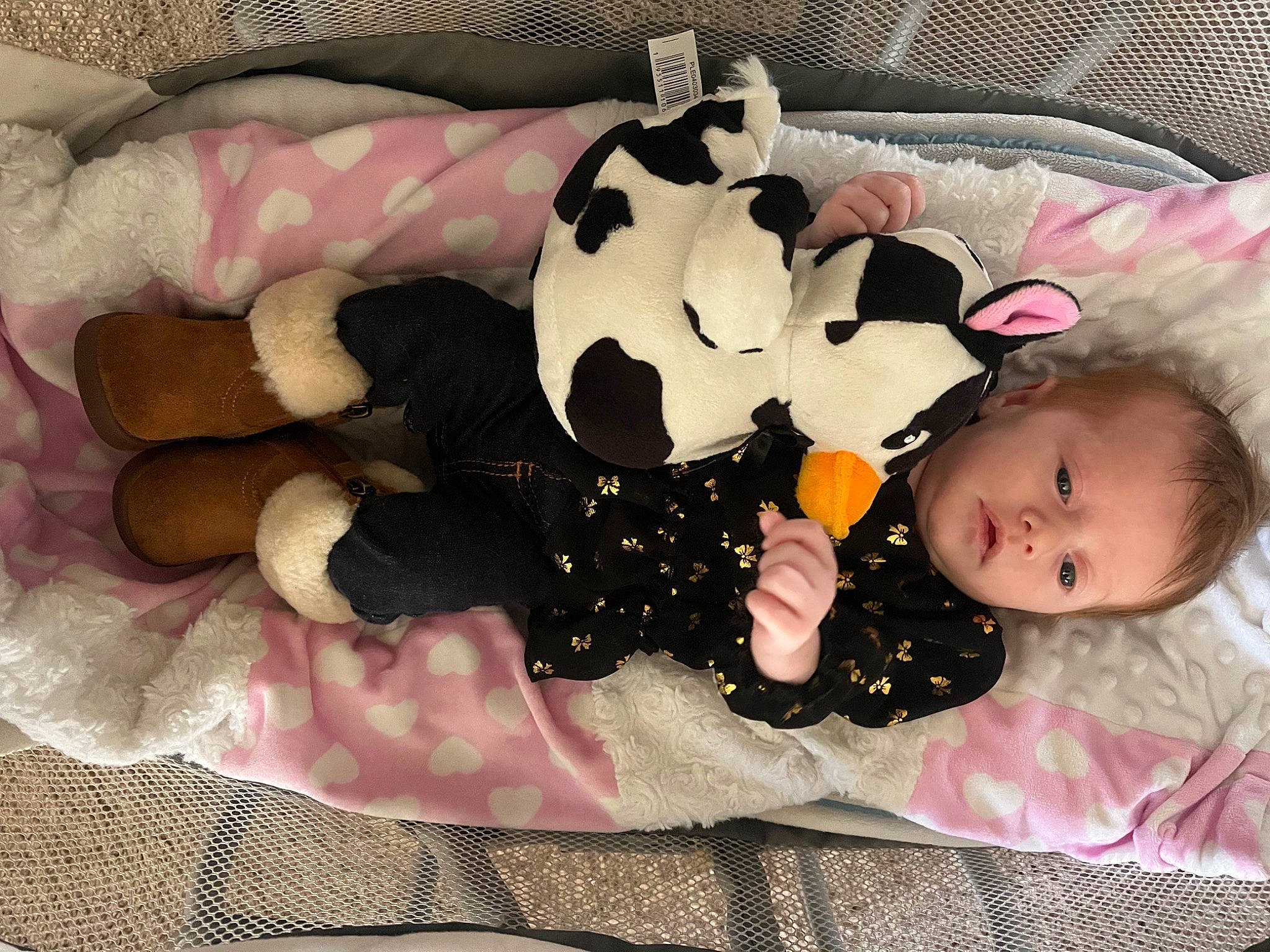 Lorelai is registered to the contest to win money with this photo: baby, baby_products, baby_sleeping, baby_toddler_clothing, baby_toys, child, comfort, fashion_accessory, linens, nap, pattern, person, pink, plush, room, sitting, sleeve, stuffed_toy, toddler, toy