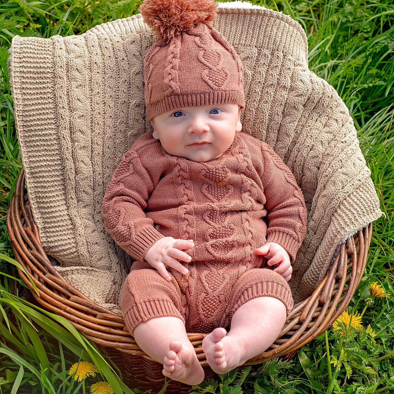 Callum is registered to the contest to win money with this photo: baby, basket, bonnet, cap, chair, clothing, daisy, face, flower, furniture, grass, hat, head, knitwear, person, photography, plant, portrait, sitting, sweater