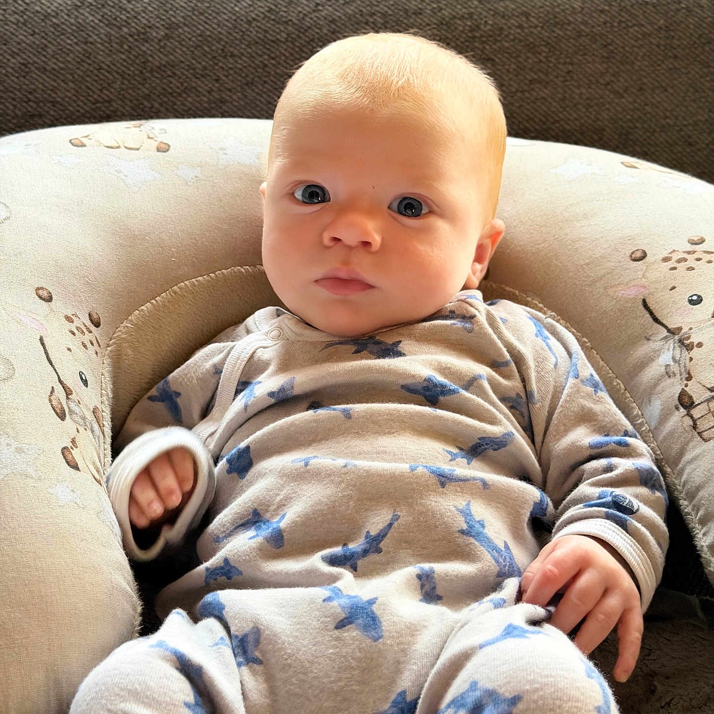Aaron participe au concours pour gagner de l'argent avec cette photo : baby, infant, onesie, shark_pattern, cushion, baby_seat, giraffe_design, face, hands, blue_eyes, blond_hair, indoor, soft_light, comfortable, cute, child, portrait, sitting, clothing, young