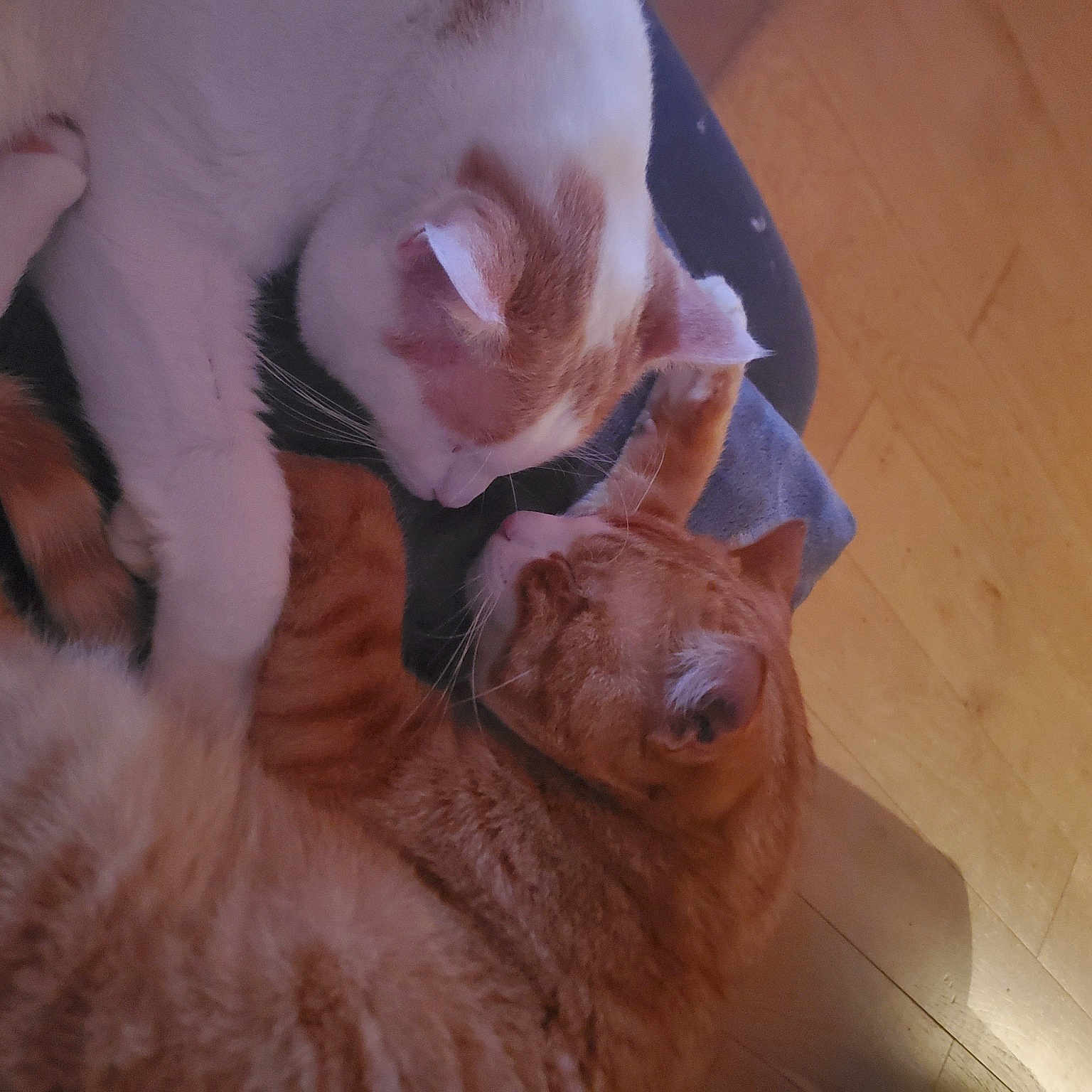 Chopper Et Osiris