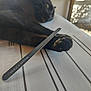 Diablo a rejoint le concours — aidez-le/la à gagner de superbes lots ! black_cat, cat, paw, nail_file, relaxing, striped_surface, indoor, sunlight, shadow, feline, animal, close_up, pet, resting, table, daylight, grooming_tool, fur, whiskers, outdoor_background