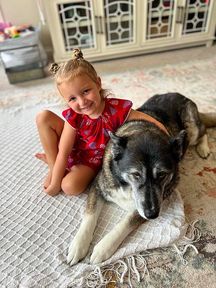 Kaidence is registered to the contest to win money with this photo: canidae, carnivore, clothing, comfort, companion_dog, dog, dog_breed, flooring, flowerpot, fur, happy, houseplant, joy, person, plant, sitting, smile, snout, sporting_group, t_shirt