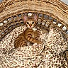 Boots joined the competition — help win amazing prizes! kitten, cat, orange_tabby, basket, blanket, leopard_print, feline, pet, indoor, cozy, cute, animal, fur, whiskers, ears, eyes, collar, resting, woven, texture
