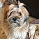 Benji