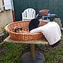 Oliana a rejoint le concours — aidez-le/la à gagner de superbes lots ! cat, calico_cat, tuxedo_cat, wicker_basket, blanket, outdoor, garden, grass, table, chair, plant_pot, fence, house, window, daylight, pet, animal, relaxing, nature, backyard