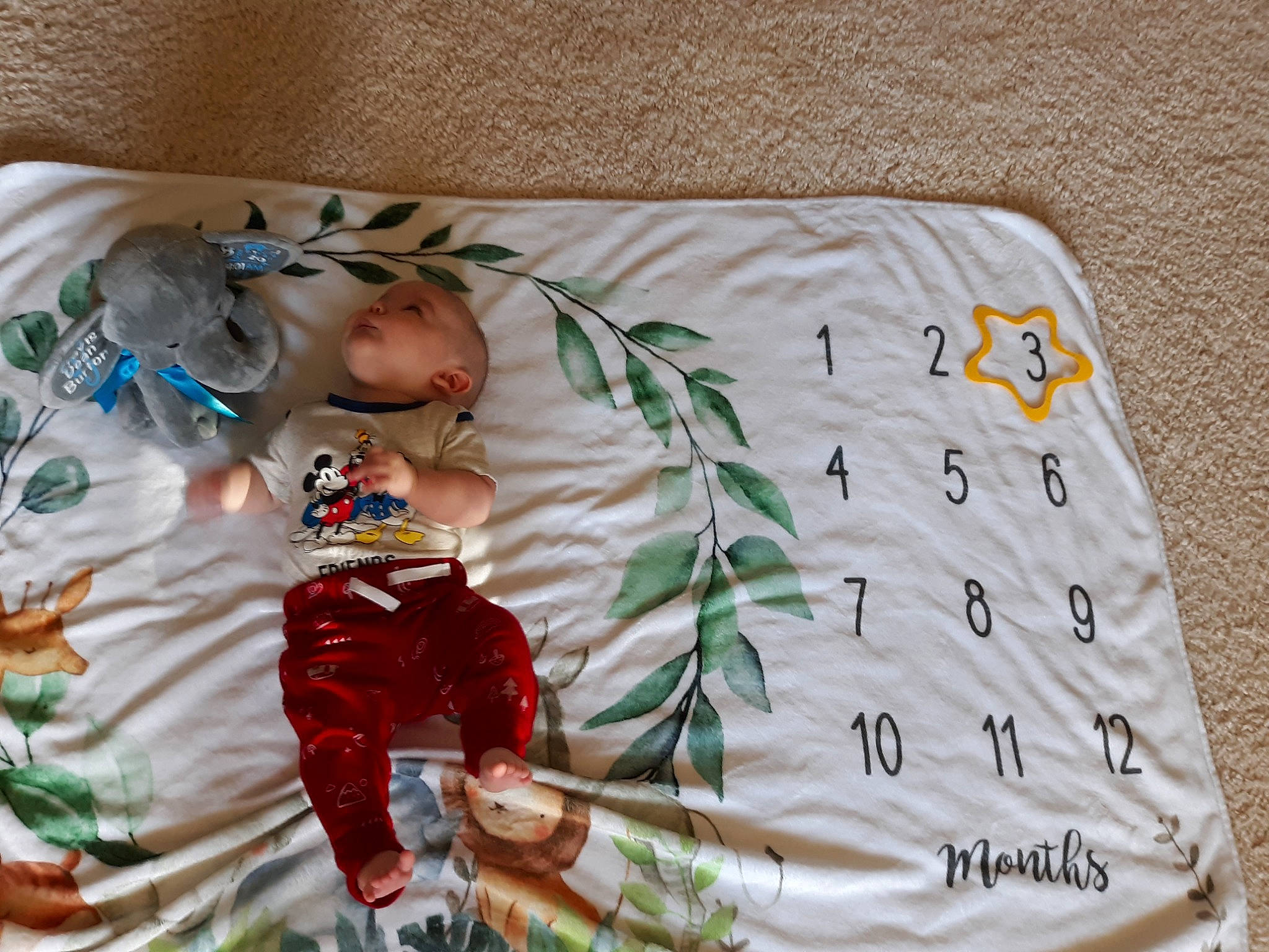 Travis is registered to the contest to win money with this photo: baby, baby_products, baby_toddler_clothing, bed_sheet, bedding, blanket, child, christmas, comfort, event, fictional_character, grass, headwear, linens, pattern, person, quilt, room, sleeve, textile