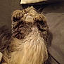 cat, fluffy, sleeping, couch, pillow, pet, indoor, relaxed, furry, whiskers, tabby, cozy, resting, animal, cute, domestic, soft, paw, fur, comfy