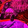 animal, blanket, cat, cozy, cute, domestic, feline, fur, indoor, mammal, pet, pink_light, plush, purple_light, relaxing, soft, stretching, tabby, upside_down, whiskers