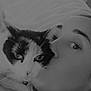 black_and_white, cat, person, kiss, affection, close_up, indoor, blanket, face, pet, animal, comfort, love, portrait, feline, human, necklace, relaxation, whiskers, expression