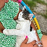 cat, person, green_dress, floral_pattern, holding, sleepy_cat, outdoor, chair, colorful_chair, hand, bracelet, nail_polish, pink_nails, closeup, relaxation, pet, comfort, cute, fur, portrait
