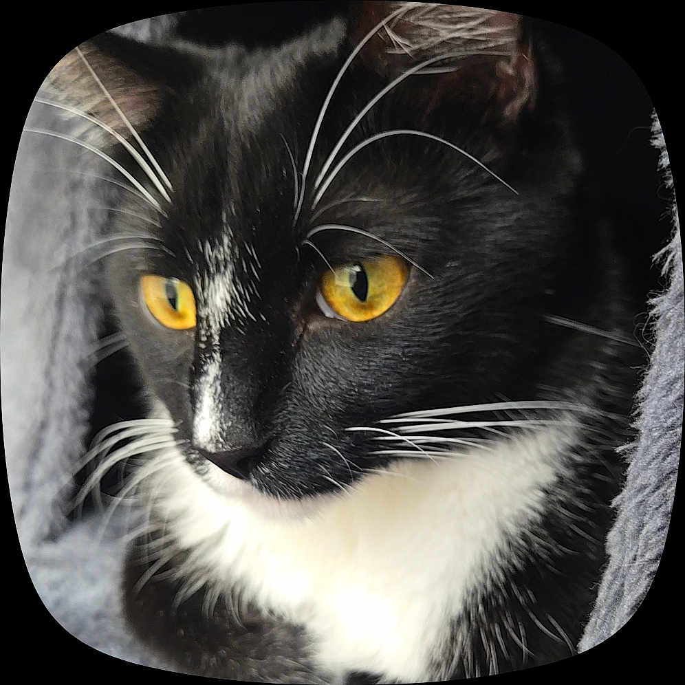 Tux