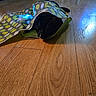 Tux is registered to the contest to win money with this photo: cat, black_cat, fabric, polka_dot, wooden_floor, floor, blue_light, toy, pet, indoor, animal, curious, playful, hiding, whiskers, domestic_cat, colorful, pattern, crouching, house