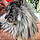 Yoky