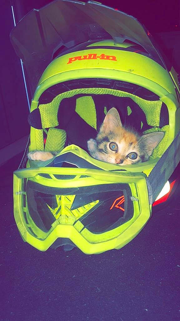 Iska a rejoint le concours — aidez-le/la à gagner de superbes lots ! goggles, headgear, helmet, motorcycle_helmet, personal_protective_equipment, space, sports_gear, visor