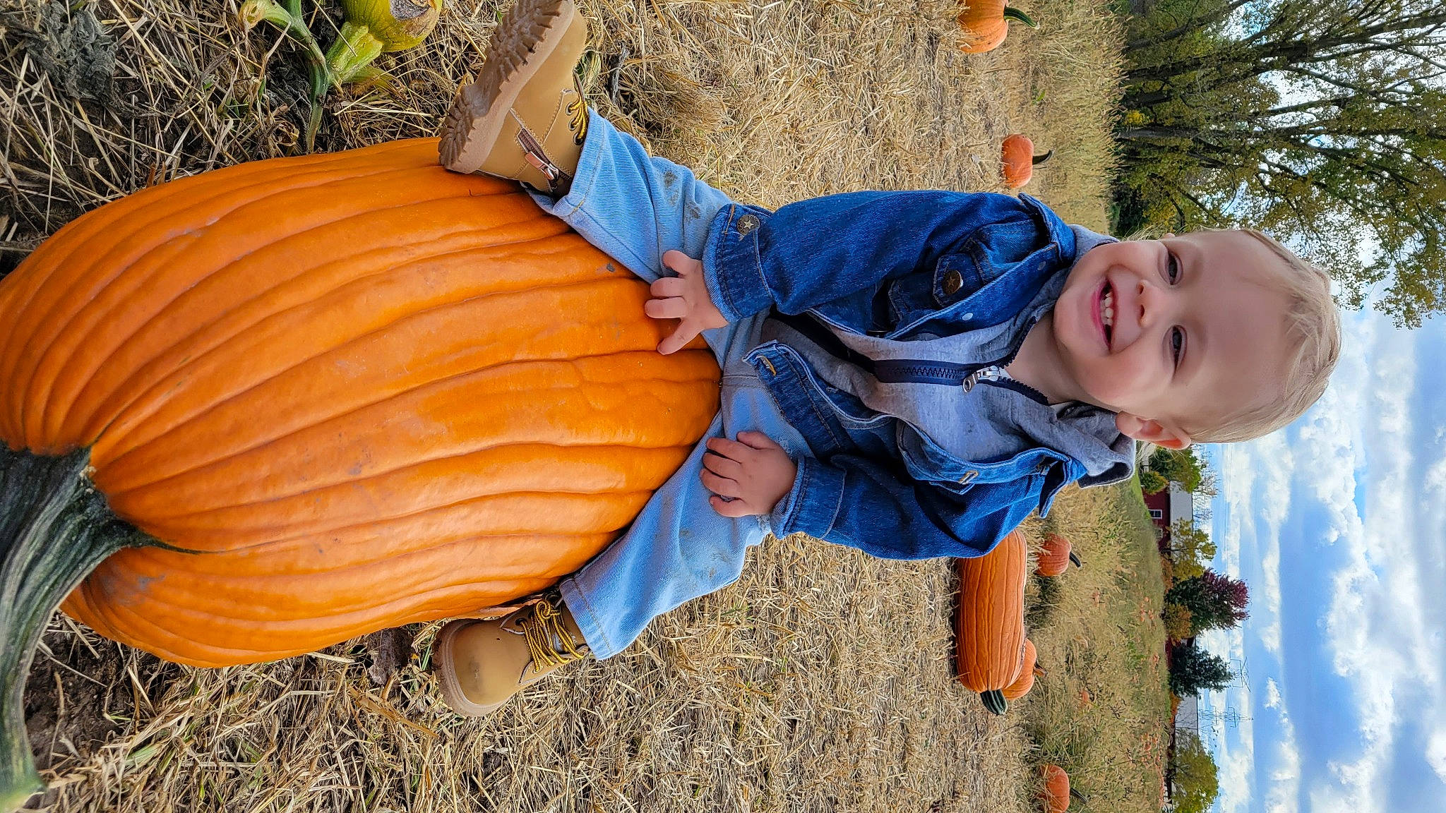 Reid joined the competition — help win amazing prizes! calabaza, cucurbita, eye, gourd, grass, hand, happy, head, human_body, joy, leaf, leg, nature, people_in_nature, person, plant, pumpkin, sky, smile, tree