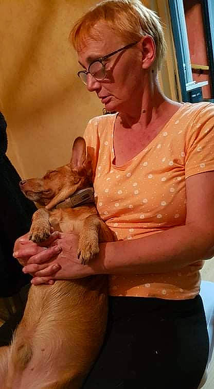 Chipo participe au concours pour gagner de l'argent avec cette photo : abdomen, canidae, carnivore, chest, companion_dog, dog, dog_breed, event, eyewear, fawn, fur, glasses, jewellery, necklace, skin, smile, sporting_group, toy, vision_care, whiskers