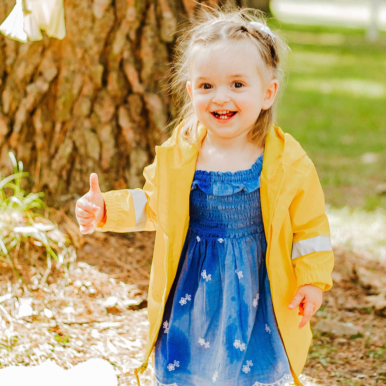 Reya is registered to the contest to win money with this photo: child, clothing, coat, dress, face, female, girl, grass, happy, head, jacket, nature, outdoors, pants, person, photography, plant, portrait, smile, tree