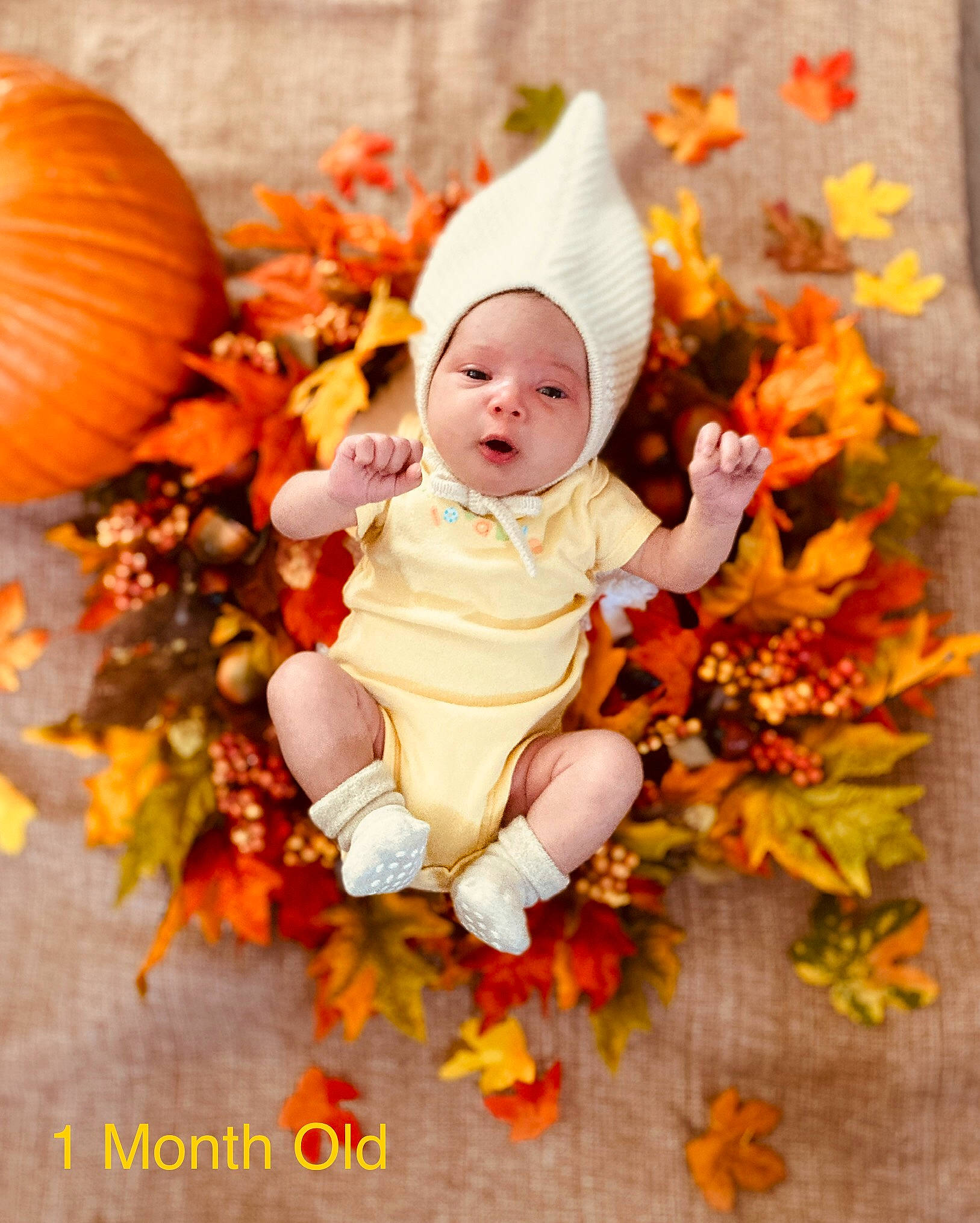 Julieta joined the competition — help win amazing prizes! autumn, baby, calabaza, candy_corn, child, leaf, orange, person, photograph, photography, plant, pumpkin, toddler, tradition, tree