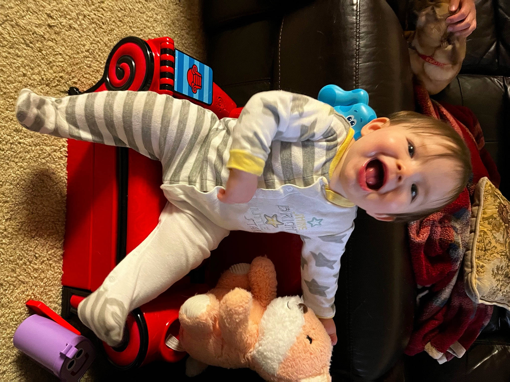 Nico joined the competition — help win amazing prizes! baby, baby_products, baby_toddler_clothing, baby_toys, carmine, child, event, fictional_character, fun, fur, happy, mammal, person, plush, room, smile, stuffed_toy, textile, toddler, toy