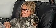 Maize is registered to the contest to win money with this photo: woman, dog, glasses, watch, couch, black_leather, relaxing, indoor, pet, casual_clothing, short_hair, gray_dog, comfort, home, arm, seated, thoughtful, resting, leisure